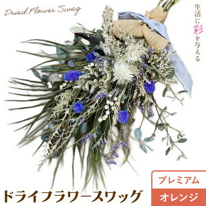 yӂ邳Ɣ[ŁzhCt[XbO IׂO[h Standard Special Premium IׂJ[ u[ sN zCg IW 1 hCt[ XbO fUC܂ t[A