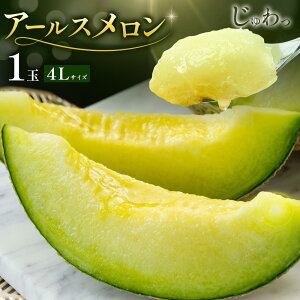 yӂ邳Ɣ[ŁzA[X 1 2 LTCY/2L`3LTCY/4L`5LTCY Iׂ郁̃TCY s4{`11{ɏ\tF{ ers ʕ t[c ʕ ersY 