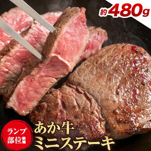 yӂ邳Ɣ[Łz~jXe[L vʎgp Iׂe 240g 480g Ђׂs30ȓɏoח\(yj)tF{ ers    a  Xe[L 