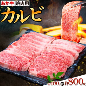 yӂ邳Ɣ[ŁzJr Ăp Iׂe 400g 800g Ђׂs30ȓɏoח\(yj)tF{ ers    a  Ă ē ₫ɂ B