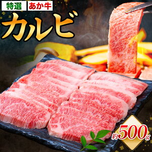 yӂ邳Ɣ[ŁzF{ IJr 500g Ђׂs30ȓɏoח\(yj)tF{ ers    a  Ă ē ₫ɂ BBQ o[xL[ 