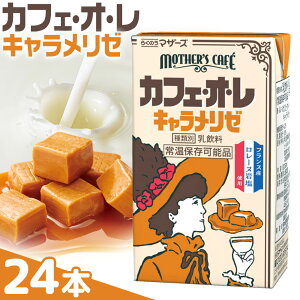 yӂ邳Ɣ[Łz퉷ۑ\ JtFI L[ 250ml×24{ 1P[X Ђׂs30ȓɏoח\(yj)tF{ ers R[q[ JtFEIE L