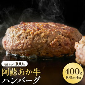 【ふるさと納税】阿蘇あか牛ハンバーグ 選べる 200g 400g 700g 750g 株式会社LARKS《30日以内に出荷予定(土日祝除く)》ハンバーグ あか牛 牛肉 熊本県 冷凍 送料無料