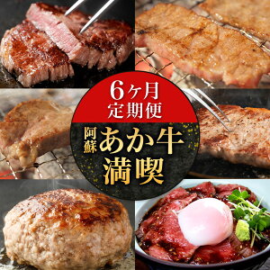 yӂ邳Ɣ[Łzy6ցzhiZbg LARKSs\݌̗o׊Jnt   [Xgr[t no[O Ⓚ  F{ ͂ 