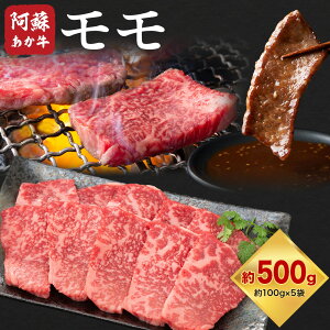 yӂ邳Ɣ[Łzh  v500g 100g×5 LARKSs30ȓɏoח\(yj)t a  ē F{Y BY Y Ⓚ 