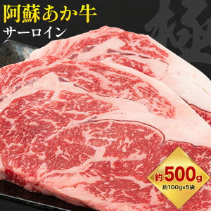 yӂ邳Ɣ[Łzh T[C v500g 100g×5 LARKSs30ȓɏoח\(yj)t a  Xe[L F{Y BY Y Ⓚ 