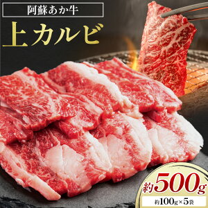 yӂ邳Ɣ[Łzh Jr v500g 100g×5 LARKSs30ȓɏoח\(yj)t a  ē F{Y BY Y Ⓚ 