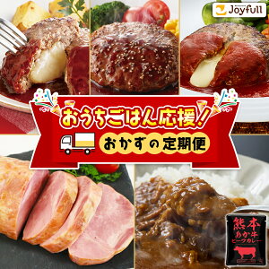 【ふるさと納税】おうちごはん応援! おかずの定期便 ハンバーグ3種 肩ロースハム あか牛ビーフカレー《申込月の翌月から出荷開始》熊本県 菊池市 おかず 定期便 ハンバーグ ハム ビーフ