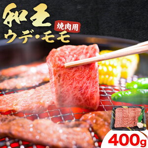 yӂ邳Ɣ[ŁzF{YA5a EfE ēp 400g (400g×1pbN) _u~[gЁs90ȓɏoח\(yj)tF{ ers    a ܂ƍјa