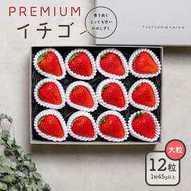 【ふるさと納税】PREMIUMイチゴ 12玉 1玉45g以上 ひのしずく いちご イチゴ 苺《選べる出荷時期》ヴァリアス株式会社 果物 くだもの フルーツ 希少 ギフト プレゼント 贈り物 国産 九州産 熊本県 菊池市 送料無料