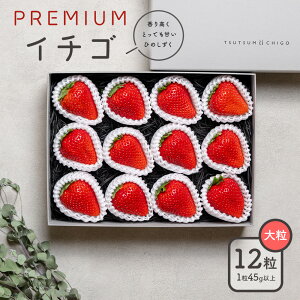 【ふるさと納税】PREMIUMイチゴ 12玉 1玉45g以上 ひのしずく いちご イチゴ 苺《選べる出荷時期》ヴァリアス株式会社 果物 くだもの フルーツ 希少 ギフト プレゼント 贈り物 国産 九州産 熊本