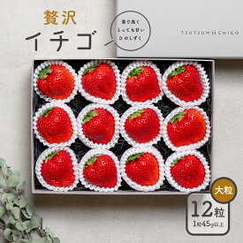 【ふるさと納税】贅沢イチゴ ひのしずく 約45g×12玉 いちご イチゴ 苺《選べる出荷時期》ヴァリアス株式会社 果物 くだもの フルーツ 希少 ギフト プレゼント 贈り物 国産 九州産 熊本県 菊池市 送料無料