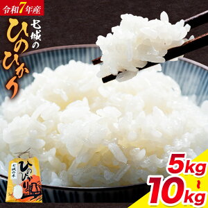 yӂ邳Ɣ[Łz ߘa7NY  Ђ̂Ђ 5kg 10kg ւ LБs90ȓɏoח\(yj)tF{ ers   Ђ̂Ђ uh   3 6