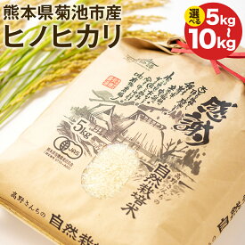 【ふるさと納税】熊本県菊池産 ヒノヒカリ 白米 5kg 10kg 令和7年産 七城物語 高野さんちの自然栽培米 精米 米 お米 自然栽培米 特A 国産 九州産 熊本県産 送料無料