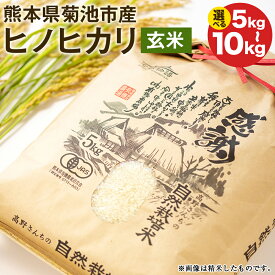 【ふるさと納税】熊本県菊池産 ヒノヒカリ 玄米 5kg 10kg 令和7年産 七城物語 高野さんちの自然栽培米 米 お米 自然栽培米 特A 国産 九州産 熊本県産 送料無料