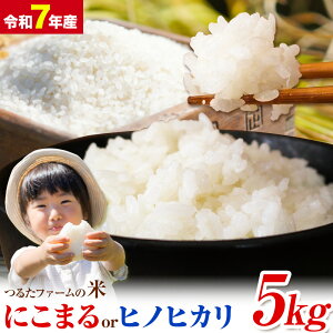 yӂ邳Ɣ[Łzߘa7NY 邽t@[̕ Iׂ ʍ͔| R͔| 5kg qmqJ ɂ܂ Ў̌b݁s11o׊JntF{ ers  Ђ̂Ђ 邽t@