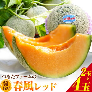 yӂ邳Ɣ[Łz邽t@[ ̂ tbh  1.2kgO 2 ܂ 4 Ў̌b݁s5{o׊JntF{ ers  邽t@[