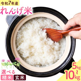 【ふるさと納税】熊本県菊池市産のれんげ米 5kg 10kg《30日以内に出荷予定(土日祝除く)》選べる 精米方法 お米 白米 玄米 精米 レンゲ米 熊本県産 九州産 送料無料