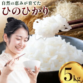 【ふるさと納税】【先行予約】令和8年産 米 ひのひかり5kg 城農園《11月頃から順次出荷》熊本県 菊池市 ふるさと納税 米 お米 ご飯 ごはん 白ご飯 七城 ひのひかり ヒノヒカリ 令和8年産 菊池米 先行予約 精米 白米