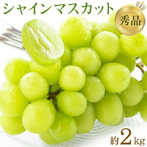 yӂ邳Ɣ[Łzys\zVC}XJbg Gi Iׂe 1.2kg 2kg {t[c s2026N6{-8oׁtF{ ers Ԃǂ uhE ʕ t[c XC[c fU[g