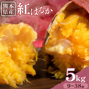 yӂ邳Ɣ[Łz܂ F{Y g͂邩 Iׂ 3.5kg 5kg {t[cЁs11{-6{oׁtF{ ers ܂ F 炢 g͂邩 fU[g   