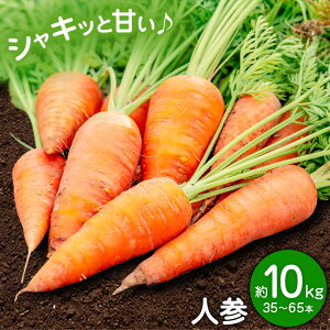 yӂ邳Ɣ[Łzys\zlQ Iׂe 5kg (17-33{) 10kg (35-65{) {t[cЁs2026N4{-6{oׁtF{ ers ɂ񂶂 jW  F{Y