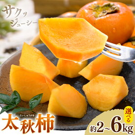 【ふるさと納税】【先行予約】柿 太秋柿 たいしゅうがき 選べる 約2kg 約3kg 約6kg 日本フルーツ株式会社《2026年9月上旬-10月末頃出荷》熊本県 菊池市 柿 かき 熊本県産 秋の味覚 果物 くだもの フルーツ デザート