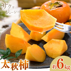 yӂ邳Ɣ[Łz` H` イ Iׂ 2kg 3kg 6kg {t[cЁs9{-10oׁtF{ ers `  F{Y H̖o ʕ  t[c fU[