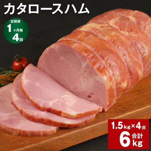 yӂ邳Ɣ[Łzyցzy14zJ^[Xn 1.5kg v6kgi1.5kg×4jn [Xn  ؓ n ؃[X [X ubN  ① Y B F{ ers s