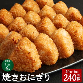 【ふるさと納税】【定期便】【1ヶ月毎6回】焼きおにぎり 10個×4パック 計240個（40個×6回） うるち米 お米 おにぎり 醤油 味付け ご飯 惣菜 電子レンジ 簡単調理 冷凍 熊本県 菊池市 送料無料