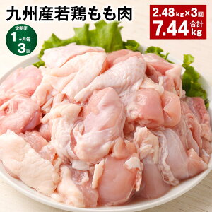 yӂ邳Ɣ[Łzyցzy13zBY{ v7.44kg(2.48kg×3)   { {  g Ă₫ `LJ[ _X{ ϕ Y B F{ ers 