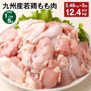 yӂ邳Ɣ[Łzyցzy15zBY{ v12.4kg(2.48kg×5)   { {  g Ă₫ `LJ[ _X{ ϕ Y B F{ ers s