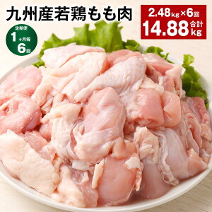 yӂ邳Ɣ[Łzyցzy16zBY{ v14.88kg(2.48kg×6)  { {  g Ă₫ `LJ[ _X{ ϕ Y B F{ ers 