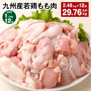 yӂ邳Ɣ[Łzyցzy112zBY{ v29.76kg(2.48kg×12)   { {  g Ă₫ `LJ[ _X{ ϕ Y B F{ ers 