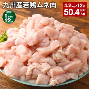 yӂ邳Ɣ[Łzyցzy112zBY{l 600g×7 v50.4kgi4.2kg×12j {  l ނ˓  Ⓚ BY Y F{ ers s\݂̗