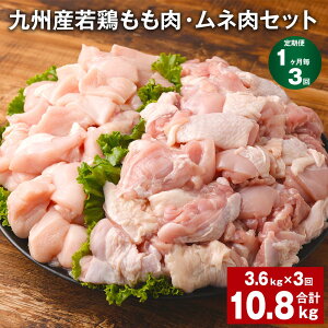 yӂ邳Ɣ[Łzyցzy13zBY{i310g×6܁jEli600g×3܁jZbg v10.8kgi3.6kg×3j {    l ނ˓ 2  Ⓚ BY 