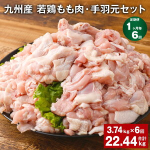 yӂ邳Ɣ[Łzyցzy16zBY {i310g×3܁jEHi500g×5܁jZbg v22.44kgi3.74kg×6j {    H 2  Ⓚ BY Y F