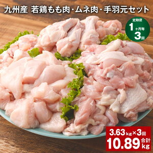 yӂ邳Ɣ[Łzyցzy13zBY {ElEHZbg v10.89kgi3.63kg×3j{  { H H g lߍ킹 Zbg Ⓚ B Y F{ ers 