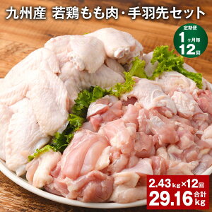 yӂ邳Ɣ[Łzyցzy112zBY {EHZbg v29.16kgi2.43kg×12j{  { H g lߍ킹 Zbg Ⓚ B Y F{ ers s\