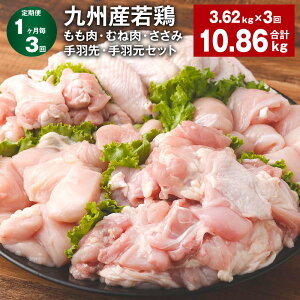 yӂ邳Ɣ[Łzyցzy13zBY{Eނ˓E݁EHEHZbg v10.86kgi3.62kg×3j {   l 5 lߍ킹  Ⓚ BY 