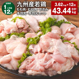 【ふるさと納税】【定期便】【1ヶ月毎12回】九州産若鶏もも肉・むね肉・ささみ・手羽先・手羽元セット 計43.44kg（3.62kg×12回） 鶏肉 お肉 モモ肉 ムネ肉 5種類 詰め合わせ 小分け 冷凍 九州産 国産 熊本県 菊池市 送料無料《お申し込みの翌月から出荷》