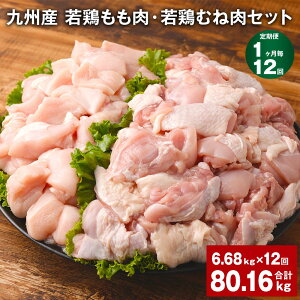 yӂ邳Ɣ[Łzyցzy112zBY {i310g×8܁jE{ނ˓i600g×7܁jZbg v80.16kgi6.68kg×12j {   l 2  Ⓚ BY Y F