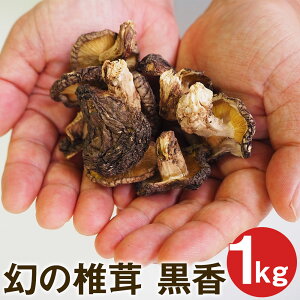 yӂ邳Ɣ[Łz̒ő  1kg 󏭕i̊ő  W~ o  ̂ ƒp KiOi 󂠂 F{Y ersY BY  s30ȓɏoח\(yj)