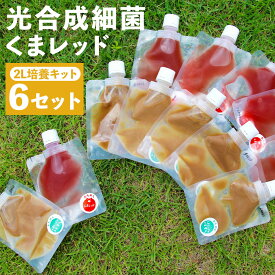 【ふるさと納税】光合成細菌 2L培養キット×6セット 《90日以内に出荷予定(土日祝除く)》光合成細菌100cc 焼酎粕培地20cc ガーデニング 農業用 観葉植物 家庭菜園 送料無料