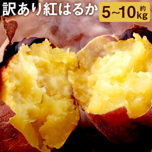 yӂ邳Ɣ[Łz󂠂 g͂邩 5kg/10kg Iׂe 2S`3L ƒp ܂  g Ă  ersY F{Y BY s90ȓɔ\iyjj