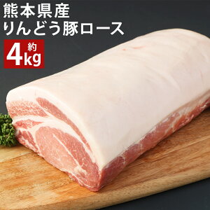 yӂ邳Ɣ[ŁzF{Y ǂ [X ubN v4kgȏ 2kg×2pbN ؓ ubN BY Y ① s90ȓɏoח\(yj)t