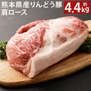 yӂ邳Ɣ[ŁzF{Y ǂ [X ubN v4.4kgȏ 2.2kgȏ×2pbN ؓ ubN BY Y ① s90ȓɏoח\(yj)t