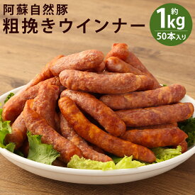 【ふるさと納税】阿蘇自然豚 粗挽き ウインナー 50本入り 約1kg ウィンナー ソーセージ あらびき 惣菜 おかず おつまみ 熊本県産 冷凍 送料無料《90日以内に出荷予定(土日祝除く)》