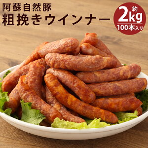 yӂ邳Ɣ[ŁzhR e҂ ECi[ 100{ 2kg EBi[ \[Z[W т y  ܂ F{Y Ⓚ s30ȓɏoח\(yj)t