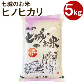 【ふるさと納税】【真空パッケージ】七城のお米 ヒノヒカリ 5kg 白米 精米 令和7年産 お米 ひのひかり 熊本県産 九州産 送料無料《10月中旬頃より出荷》
